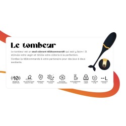 Le Tombeur, Oeuf vibrant télécommandé - L'insatiable Jacquie & Michel