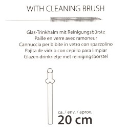 Paille en Verre en Forme de Pénis avec Brosse de Nettoyage Willy - 4 pièces
