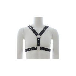 Harnais homme Strap Chest