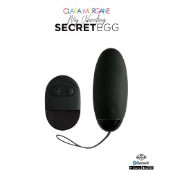 My Vibrating Secret EGG Black