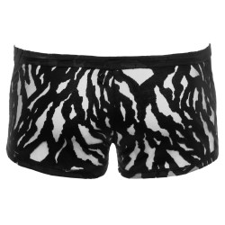 boxer transparent et opaque- svenjoyment