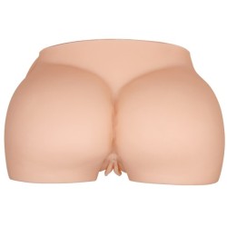 Fessier vibrant 4 KG 24 cm X 16 cm Baile